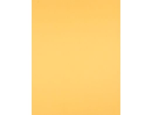 Cartulina Liderpapel 50X65 cm Oro 240 Gr Unidad