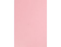 Cartulina Liderpapel A4 180G/M2 Rosa Paquete de 100