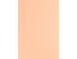 Cartulina Liderpapel A4 180G/M2 Salmon Paquete de 100