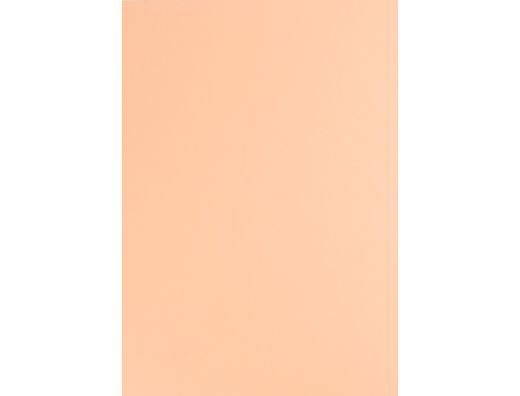 Cartulina Liderpapel A4 180G/M2 Salmon Paquete de 100