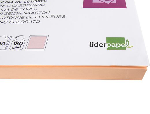 Cartulina Liderpapel A4 180G/M2 Salmon Paquete de 100
