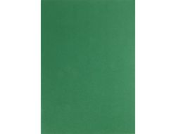 Cartulina Liderpapel A4 180G/M2 Verde Abeto Paquete de 100