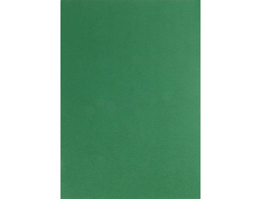 Cartulina Liderpapel A4 180G/M2 Verde Abeto Paquete de 100