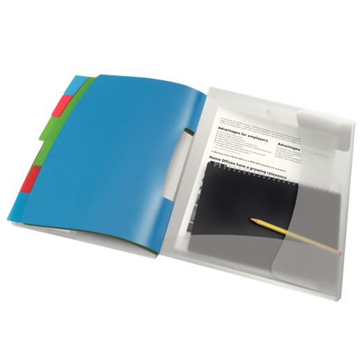 Clasificador Esselte Vivida. PP. 6 separadores con índice, multicolor