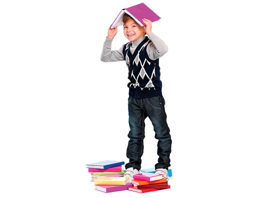 COLIBRI Forro standard para libros 49 x 32 cm. 0002NF