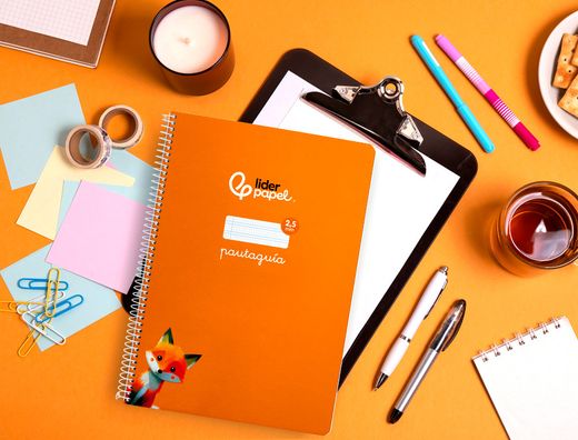 Cuaderno espiral liderpapel A4 pautaguia tapa blanda 80h 75 gr cuadro pautado 2,5mm color naranja
