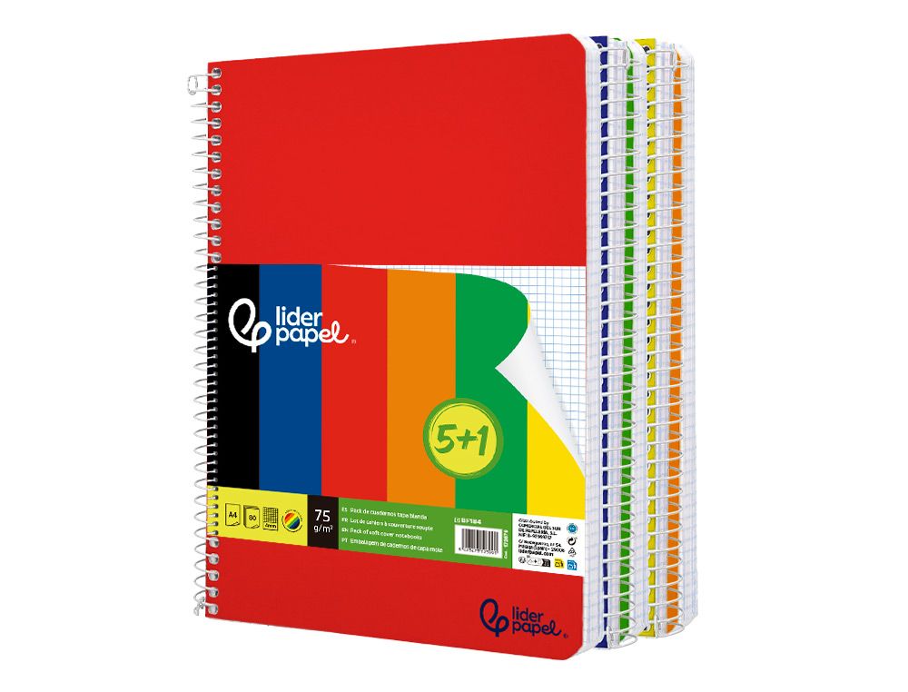 Liderpapel Notizbuch mit Spiralbindung, A4, weicher Einband, 80 h, 75 g, kariert 4 mm, mit Rand grün