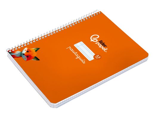 Cuaderno espiral liderpapel A5 pautaguia tapa blanda 40h 75 gr cuadro pautado 2,5mm color naranja