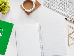 Cuaderno espiral liderpapel A5 pautaguia tapa blanda 40h 75 gr cuadro pautado 3mm color verde