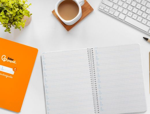 Cuaderno espiral liderpapel A5 pautaguia tapa dura 80h 90 gr cuadro pautado 4mm color naranja