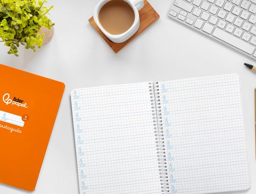 Cuaderno espiral liderpapel A5 pautaguia tapa dura 80h 90 gr cuadro pautado 5mm color naranja