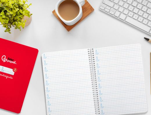 Cuaderno espiral liderpapel A5 pautaguia tapa dura 80h 90 gr cuadro pautado 5mm color rojo