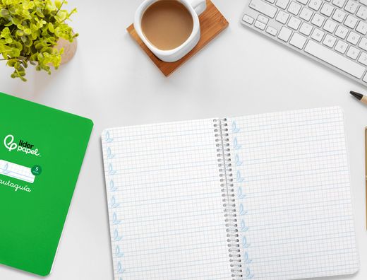 Cuaderno espiral liderpapel A5 pautaguia tapa dura 80h 90 gr cuadro pautado 5mm color verde
