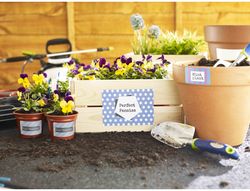 Etiqueta adhesiva avery blanca brillante laser 210x297 mm caja de 40 unidades