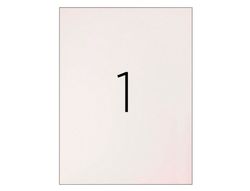 Etiqueta Adhesiva Q-Connect Kf00228 -Tamaño Din A4 -Para Ink-Jet -Transparente -Caja con 25 Hojas Din-A4