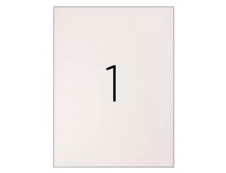 Etiqueta Adhesiva Q-Connect Kf10664 Tamaño 210X297 mm Fotocopiadora Laser Ink-Jet Caja con 100 Hojas Din A4