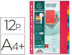 Exacompta separador cartulina lustrada xxl 12 posiciones ref.2412e