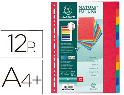 Exacompta separador cartulina lustrada xxl 12 posiciones ref.2412e