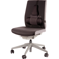 FELLOWES Cojín lumbar ergonómico Professional Series 8041801