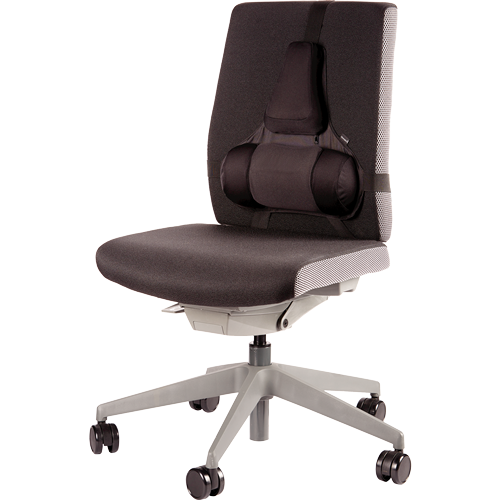 FELLOWES Cojín lumbar ergonómico Professional Series 8041801