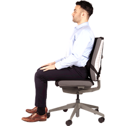 FELLOWES Cojín lumbar ergonómico Professional Series 8041801