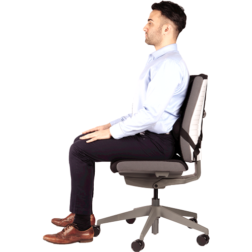 FELLOWES Cojín lumbar ergonómico Professional Series 8041801