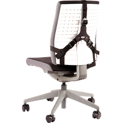 FELLOWES Cojín lumbar ergonómico Professional Series 8041801