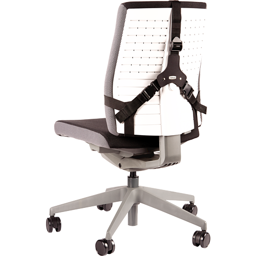 FELLOWES Cojín lumbar ergonómico Professional Series 8041801