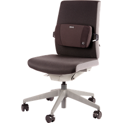 FELLOWES Cojin lumbar foam PlusTouch® 8026501