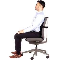 FELLOWES Cojin lumbar foam PlusTouch® 8026501