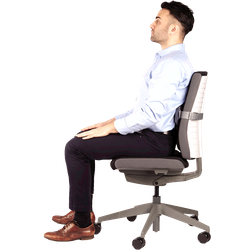FELLOWES Cojín lumbar I-Spire Series® Blanco 8042201
