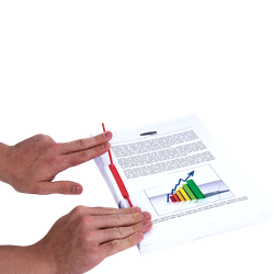 FELLOWES Pack de 100 Fasteners de plástico D-Clip Rojo 1189301