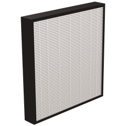 FELLOWES Pack de 2 Filtros HEPA 50mm con tratamiento antimicrobiano para AeraMax Pro AM3 y AM4 9416602