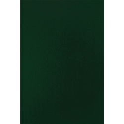 FELLOWES Pack de 50 portadas cartón Verde A4 750 gr. 5136101