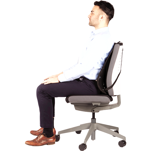 FELLOWES Respaldo ergonómico de rejilla Mesh Profesional Series 8029901