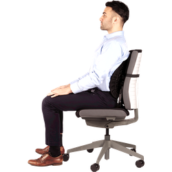 FELLOWES Respaldo ergonómico moldeable Angel® 8026401