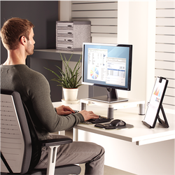 FELLOWES Soporte para monitor estándar gris 91712