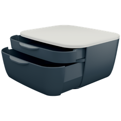 Fichero cajones de sobremesa leitz cosy 2 cajones gris