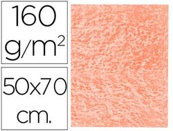 Fieltro Liderpapel 50X70Cm Color Carne 160G/M2