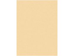 Fieltro Liderpapel 50X70Cm Color Carne 160G/M2