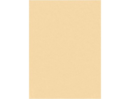 Fieltro Liderpapel 50X70Cm Color Carne 160G/M2