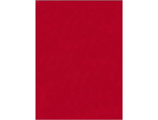 Fieltro Liderpapel 50X70Cm Rojo 160G/M2