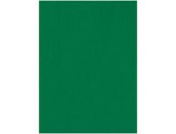 Fieltro Liderpapel 50X70Cm Verde 160G/M2