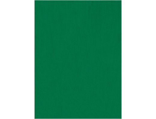 Fieltro Liderpapel 50X70Cm Verde 160G/M2