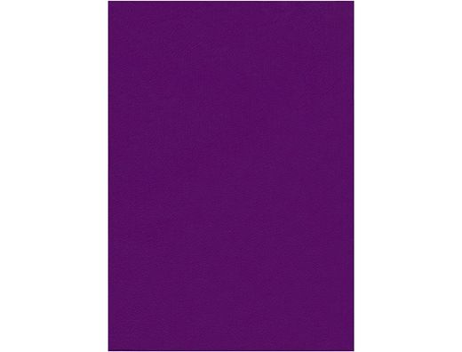 Fieltro Liderpapel 50X70Cm Violeta 160G/M2