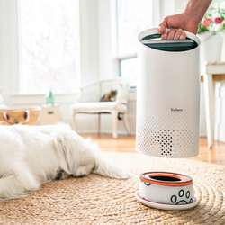 Filtro de carbono hepa leitz para purificador de aire pequeño z-1000 para mascotas