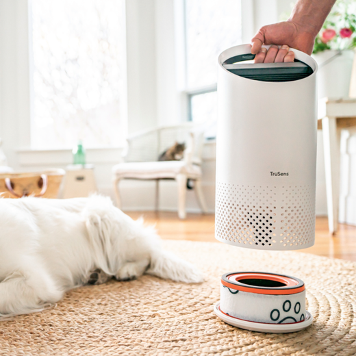 Filtro de carbono hepa leitz para purificador de aire pequeño z-1000 para mascotas