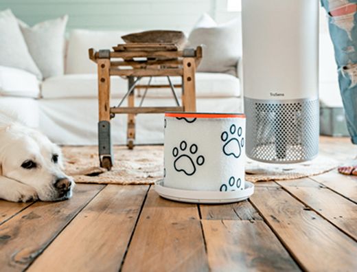 Filtro de carbono hepa leitz para purificador de aire mediano z-2000/z-2500 para mascotas