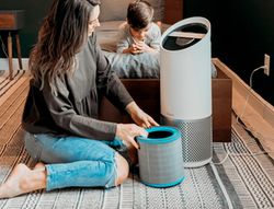 Filtro HEPA para alergias y gripe (Grande)