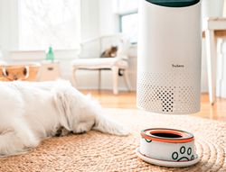 Filtro HEPA mascotas (Pequeño)